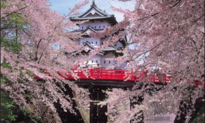 Hirosaki castle