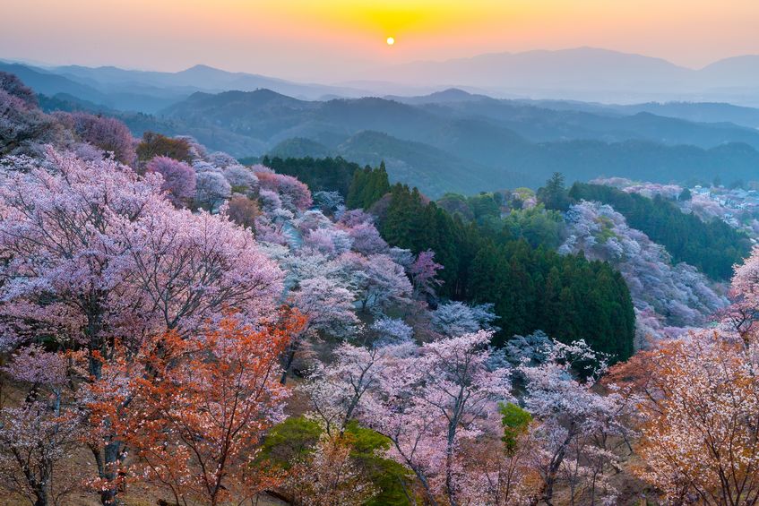 Mount Yoshino