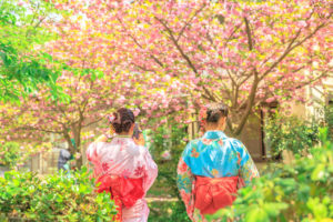 Philosopher's Path - Kyoto