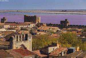 bike to Camargue