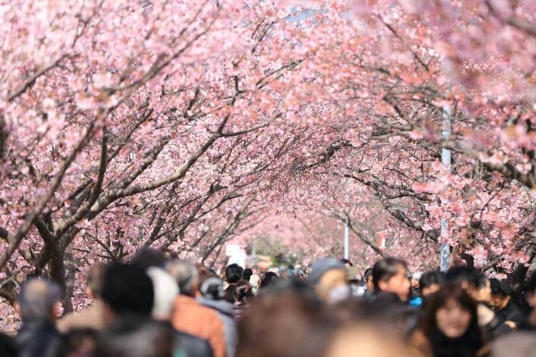 ueno park