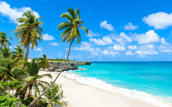 Cruise The Caribbean Cruise The Caribbean
