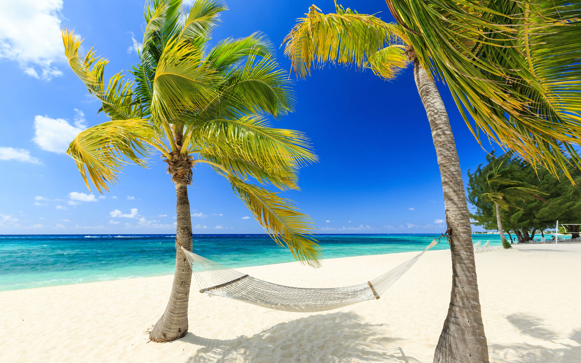 Cruising the Caribbean Cruising the Caribbean