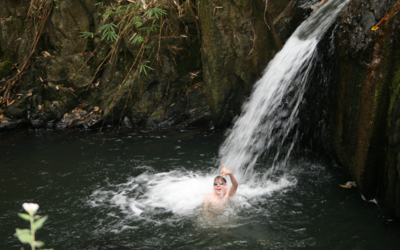 Philippine Jungle Adventure