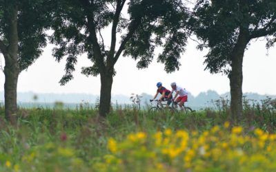 Cycle Provence