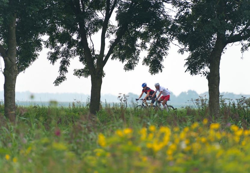 cycling in Provence