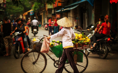 Vietnam Food Explorer