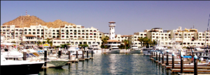 cruise-to-cabo-san-lucas