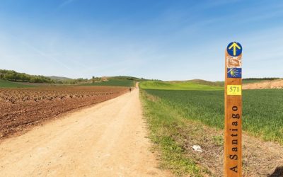 Walking the camino