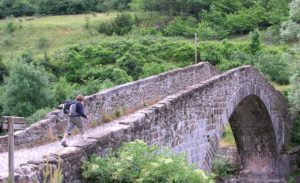 Camino frances