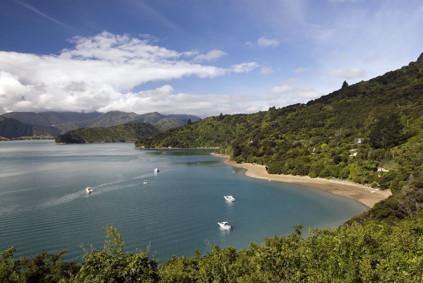 walking the queen charlotte track