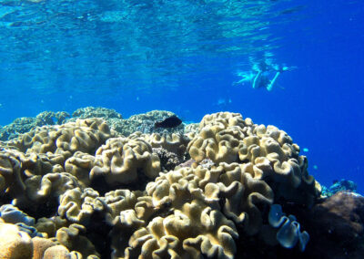 Snorkeling Excursion © C Rayes