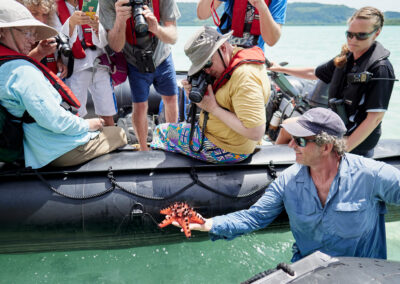 Viewing Starfish on Zodiac excursion © E Bell
