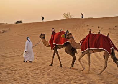 Desert Excursion, Dubai