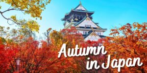 Autumn in Japan 2025 Escorted Tour