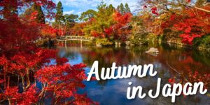 Autumn in Japan 2025 Escorted Tour