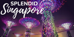Discover Splendid Singapore