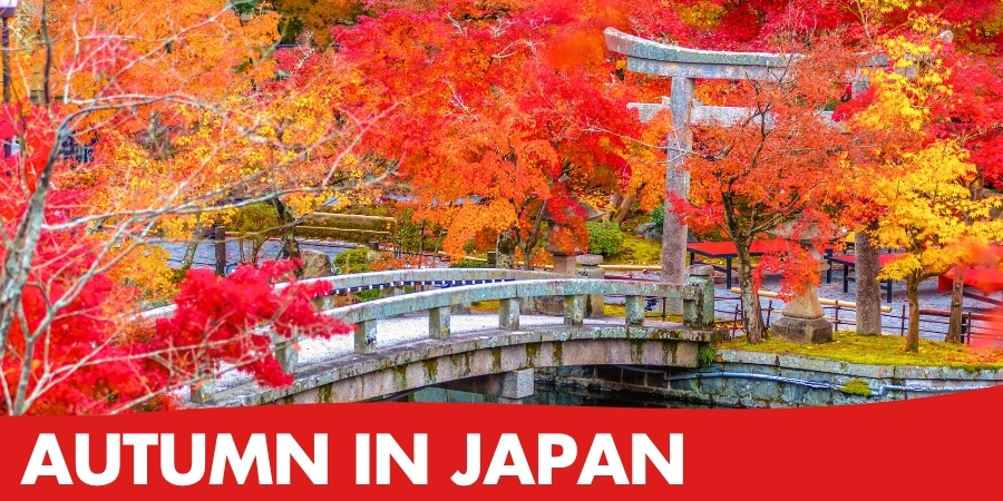 Autumn in Japan – Escorted Tour