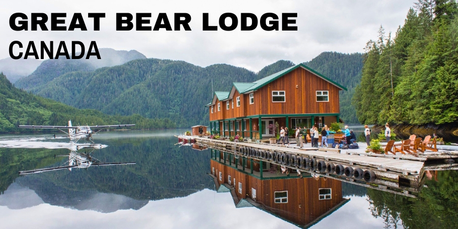 Great Bear Lodge | Grizzly Bear Viewing in British Columbia
