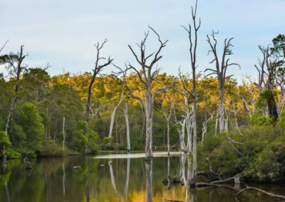 Margaret River, WA
