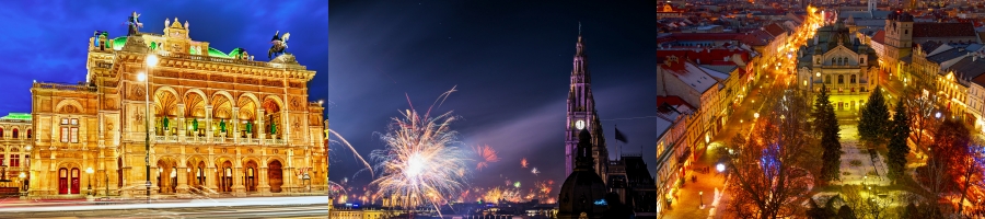 Golden Eagle New Year in Vienna