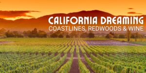 California Dreaming: Coastlines, Redwoods & Wine | 5-Day Small Group Tour