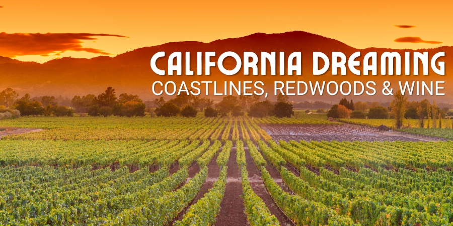 California Dreaming | Coastlines, Redwoods & Wine