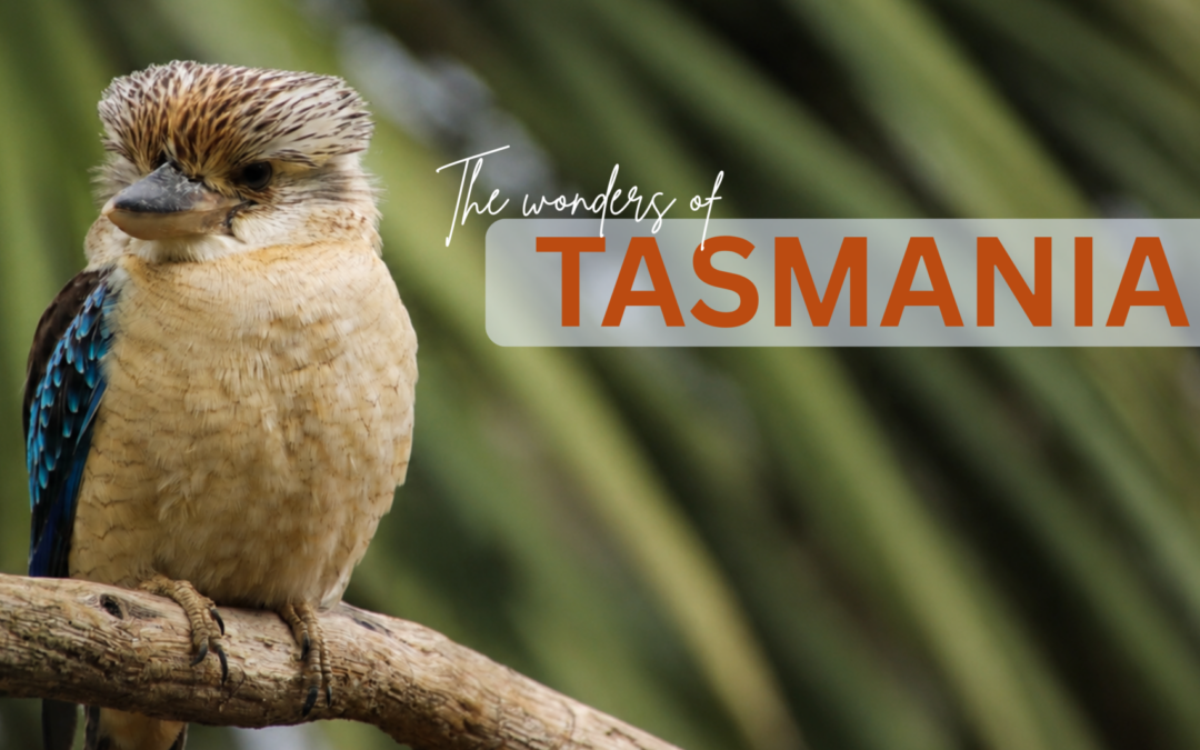 The Wonders of Tasmania – Feb 2027